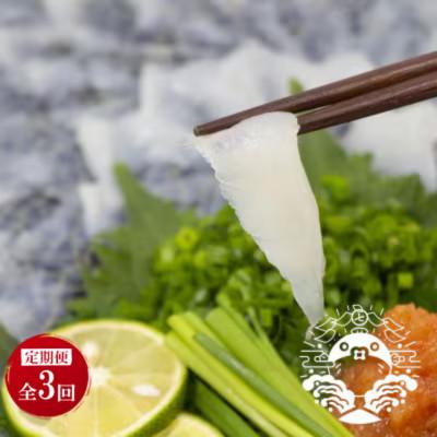 ふるさと納税 壱岐市 【毎月定期便】特選トラフグ刺身セット(4〜5人前)全3回