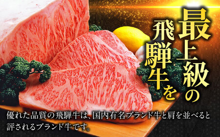 【飛騨牛】サーロインブロック(500g) 和牛 BBQ ローストビーフ 岐阜市/丸福商店[ANBO009]