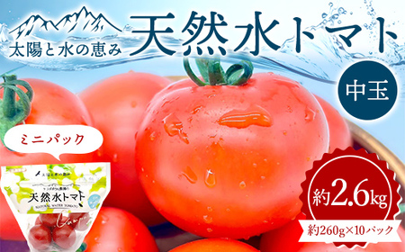 太陽と水の恵み 天然水トマト 中玉 ミニパック 約2.6kg  F25R-068
