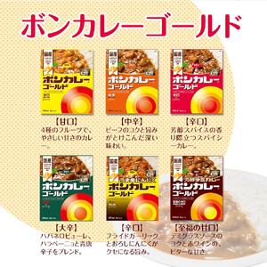 【定期便全6回】ボンカレーゴールド（中辛）30個×6回　計180個
