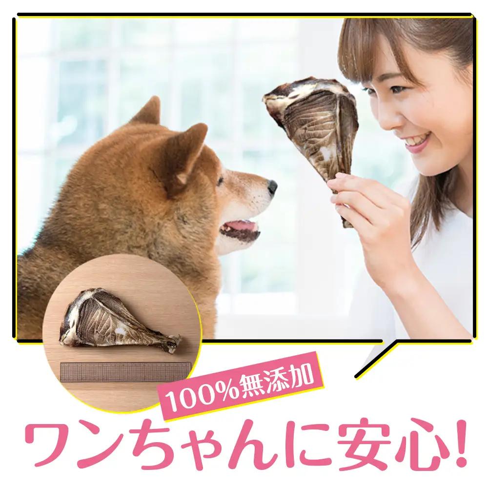 犬 おやつ 無添加 国産 骨 エゾ鹿 ボーン 肩甲骨 (約300g)