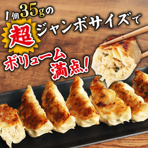 手包み ジャンボ スタミナ 餃子 45個 冷凍 【 餃子 】