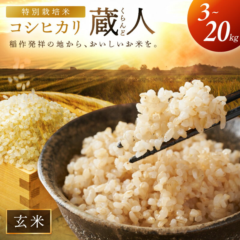 【ふるさと納税】新米玄米／数量限定・先行予約 令和8年産 特別栽培米 コシヒカリ 蔵人（くらんど） 玄米 3kg 5kg 10kg 20kg 定期便 選べる 内容量 回数 コシヒカリ 蔵人 おこめ 京都産 ふるさと納税 玄米 ふるさと納税 こしひかり 3キロ 5キロ 10キロ 20キロ