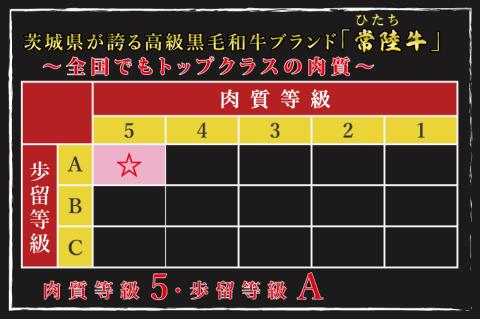DT-2【常陸牛A5ランク】サーロインステーキ　600ｇ（300ｇ×２枚）