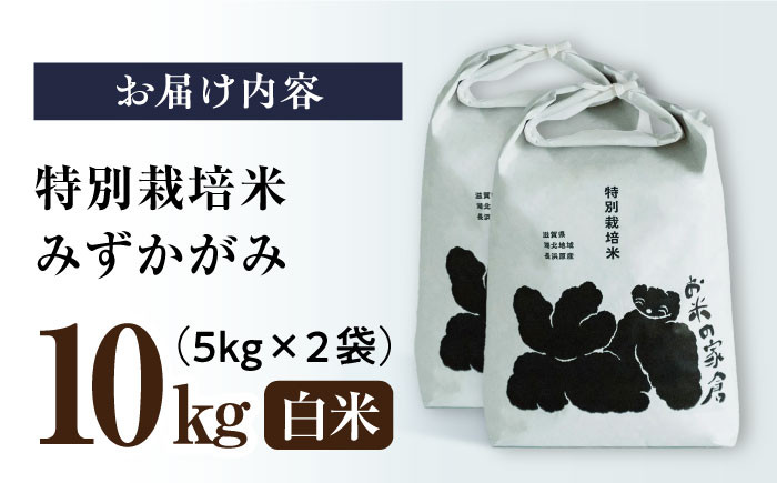 特別栽培米 みずかがみ 5kg 白米 ×2袋　米 お米 白米  10kg