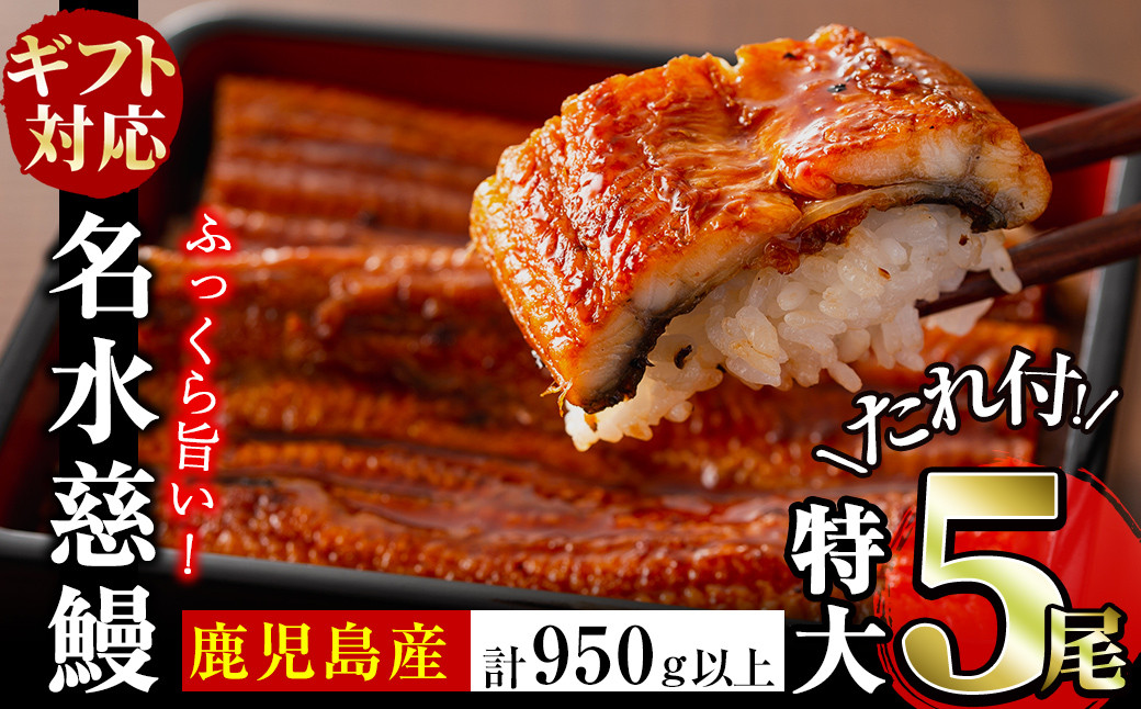 
            【ギフト対応】鹿児島県産うなぎ蒲焼 名水慈鰻 特大5尾(1尾190g以上)＜計950g以上＞ うなぎ 鰻 ウナギ 5尾 国産 九州産 蒲焼き かばやき 冷凍 うな重 ひつまぶし タレ 山椒 ランキング 人気 敬老の日 c5-037
          
