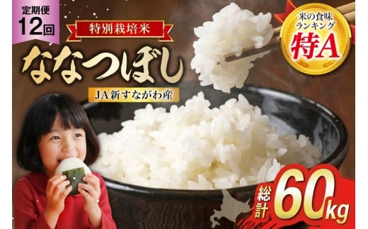 
            12回 定期便 JA新すながわ産 特栽米ななつぼし 5kg×12回 総計60kg [ホクレン商事 北海道 砂川市 12260800] 定期 お米 コメ 白米 ごはん ご飯 国産 レビューキャンペーン
          
