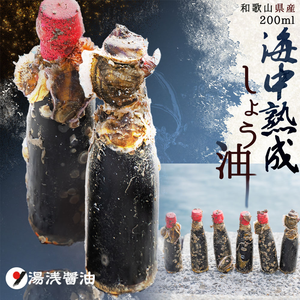 【ふるさと納税】和歌山県産 海中熟成しょう油 200ml 【しょうゆ 濃口醤油 楽天ふるさと納税】