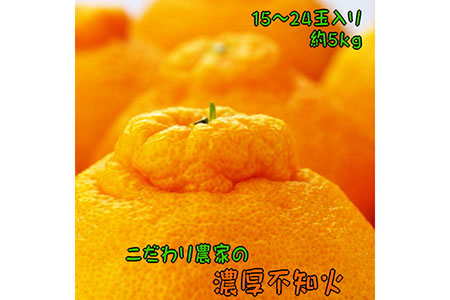 【先行予約】こだわり農家の濃厚不知火（デコポンと同品種） 15～24玉（約5kg）| デコポン 不知火 でこぽん しらぬい 柑橘 5kg 果実 フルーツ 先行予約 冬 農家直送 濃厚 ※2026年2月上旬～3月下旬頃に順次発送予定※北海道・沖縄・離島への配送不可