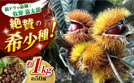 【先行予約】ほくほくと甘い熟成した夢甘栗 高級生栗＜秀品規格＞ 約1kg (約50個前後) 〈2025年10月から発送〉 【仁淀川流域夢甘栗生産者組合 くり蔵】 [ATDR002]