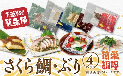 
                  S042-004_天草YO！殖魚便 ぶり さくら鯛
                