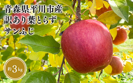 ≪2026年12月中旬頃より発送≫青森県産 訳あり 葉取らずサンふじ 約3kg【青森県 平川市 なるみ農園】家庭用 訳アリ 青森 青森県産 平川 りんご リンゴ 林檎 くだもの 果物 フルーツ 