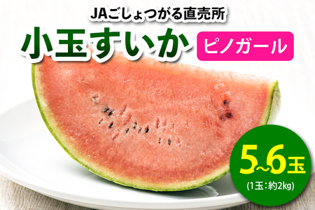 小玉すいか (ピノガール) 5玉から6玉入｜2025年 令和7年 小玉 スイカ すいか 西瓜 果物 フルーツ 旬 産直 特産品 数量限定 [0645]