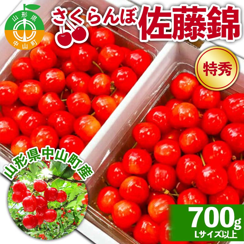 【ふるさと納税】《2027年先行予約》山形県中山町産さくらんぼ《佐藤錦特秀品》 700g Lサイズ以上 数量限定 山形県産 サクランボ フルーツ 果物 F4A-0106