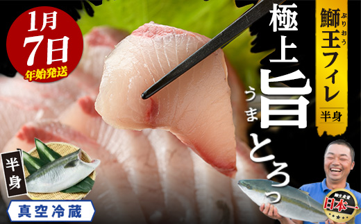 【期間限定特別寄附額】＼年始発送 先行予約／＜数量限定＞【2027年1月7日発送】『旅サラダ』で紹介ぶりの王様「 鰤王 」 フィレ 半身 (約1.2〜1.5kg・フィレ1枚) 産地直送 新鮮 旨味が抜群の 長島町 特産品 ブランド ぶり 鰤 ブリ 切り身 真空 冷蔵 刺身 ぶりしゃぶ しゃぶしゃぶ 魚 魚介 人気 ランキング 年末年始発送 【JFA】jfa-1630-07