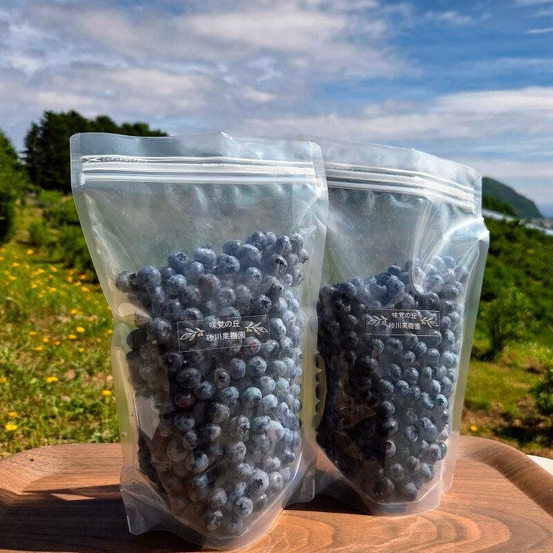 【ふるさと納税】余市の砂川果樹園が贈る 冷凍ブルーベリー 500g×2袋 チャック付き袋 1Kg 大粒 手摘み みずみずしい 無添加 産地直送 送料無料 新鮮冷凍 フレッシュ 国産 フルーツ 冷凍フルーツ 果実 ベリー類 スーパーフード 甘酸っぱい 送料無料 北海道 余市町