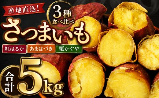 【 先行予約 10月 発送】 滝沢産 さつまいも セット 5kg 紅はるか あまはづき 栗かぐや 【駿河農園ベジスル】 サツマイモ さつま芋 薩摩芋 5キロ ５キロ ５ｋｇ 5000g M L LL 