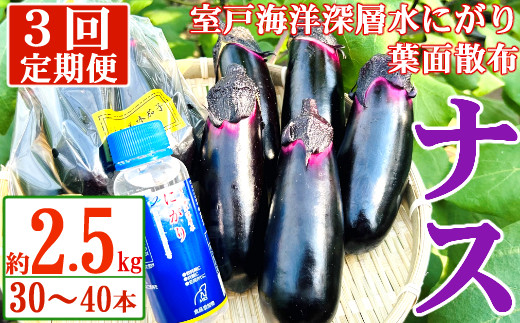
            【定期便3回発送】農家直送　土佐の美味茄子の新鮮ナス　２．５kg　（室戸海洋深層水にがり使用） 野菜 なす ナス 常温 小袋 国産 夏野菜 茄子 小分け 旬 25500円 高知 頒布会
          