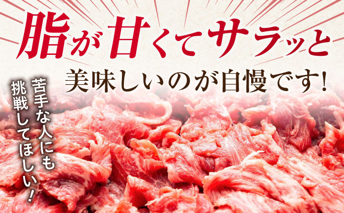 艶さし！ 佐賀牛 切り落とし 肩orバラ 計 1kg （ 500g ×2）  吉野ヶ里町 [FDB007]