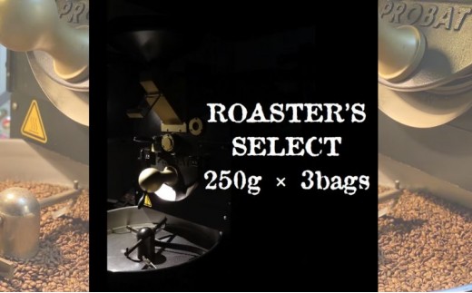 
            ロースターズセレクト 250g×3種類のおすすめスペシャルティコーヒー ドリンク コーヒー スペシャルティコーヒー [№5619-1896]
          
