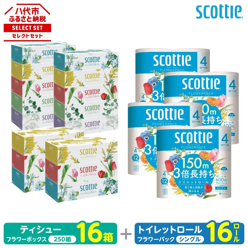 トイレットペーパー シングル 16ロール ＋ ティッシュ 16箱 セット スコッティ ティッシュ トイレット