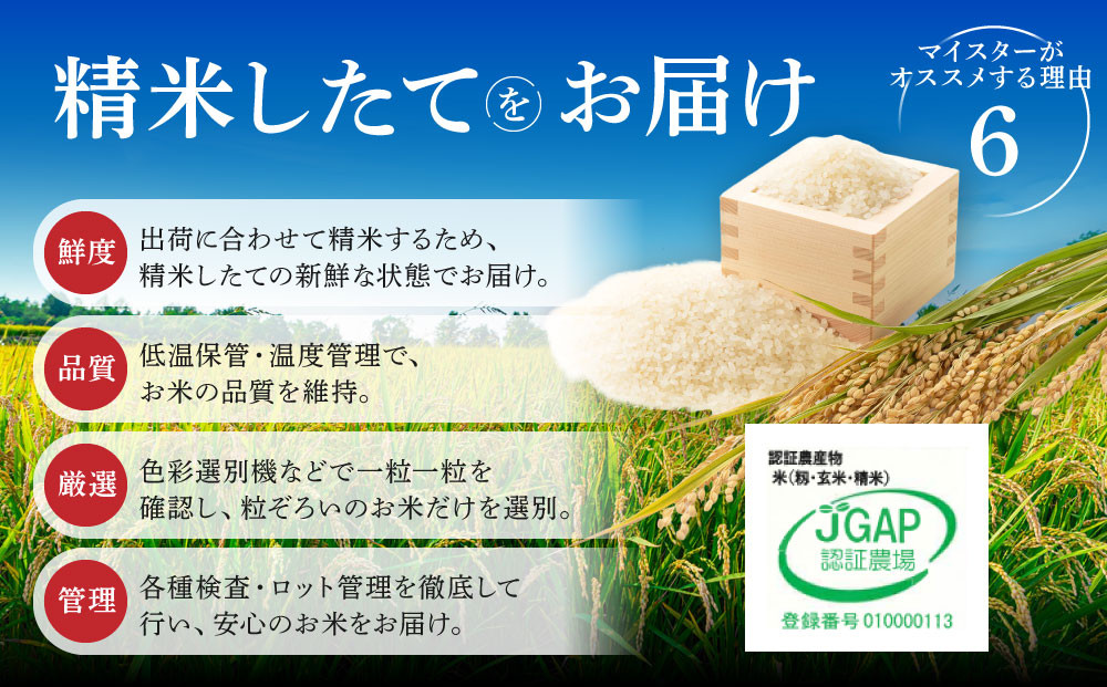 北海道産 特Aランク ゆめぴりか・ななつぼし 食べ比べ セット 10kg(各5kg)  令和7年 【 白米 精米 ご飯 ごはん 米 お米 旭川市ふるさと納税 北海道ふるさと納税 】 _04809