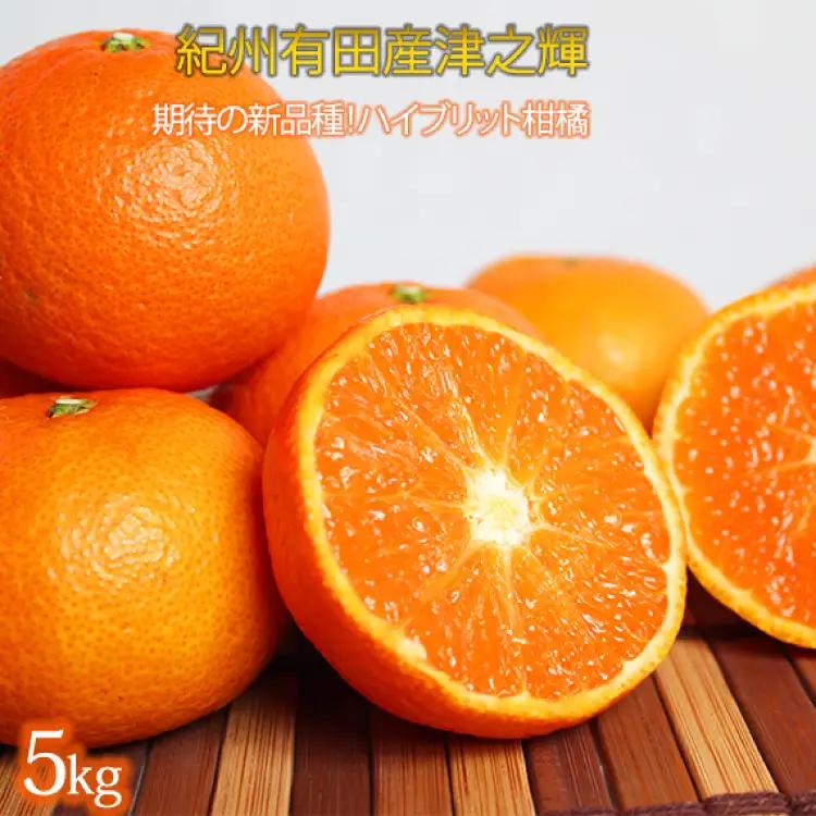 津之輝(つのかがやき)　5kg【予約】※2027年1月下旬頃〜2027年2月上旬頃に順次発送予定(お届け日指定不可) 【uot761】