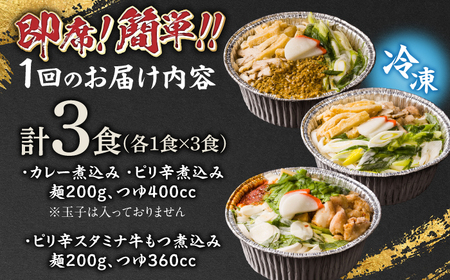 うどん 【3回定期便】田毎の煮込みうどん辛辛麺セット [ANFP012] うどん