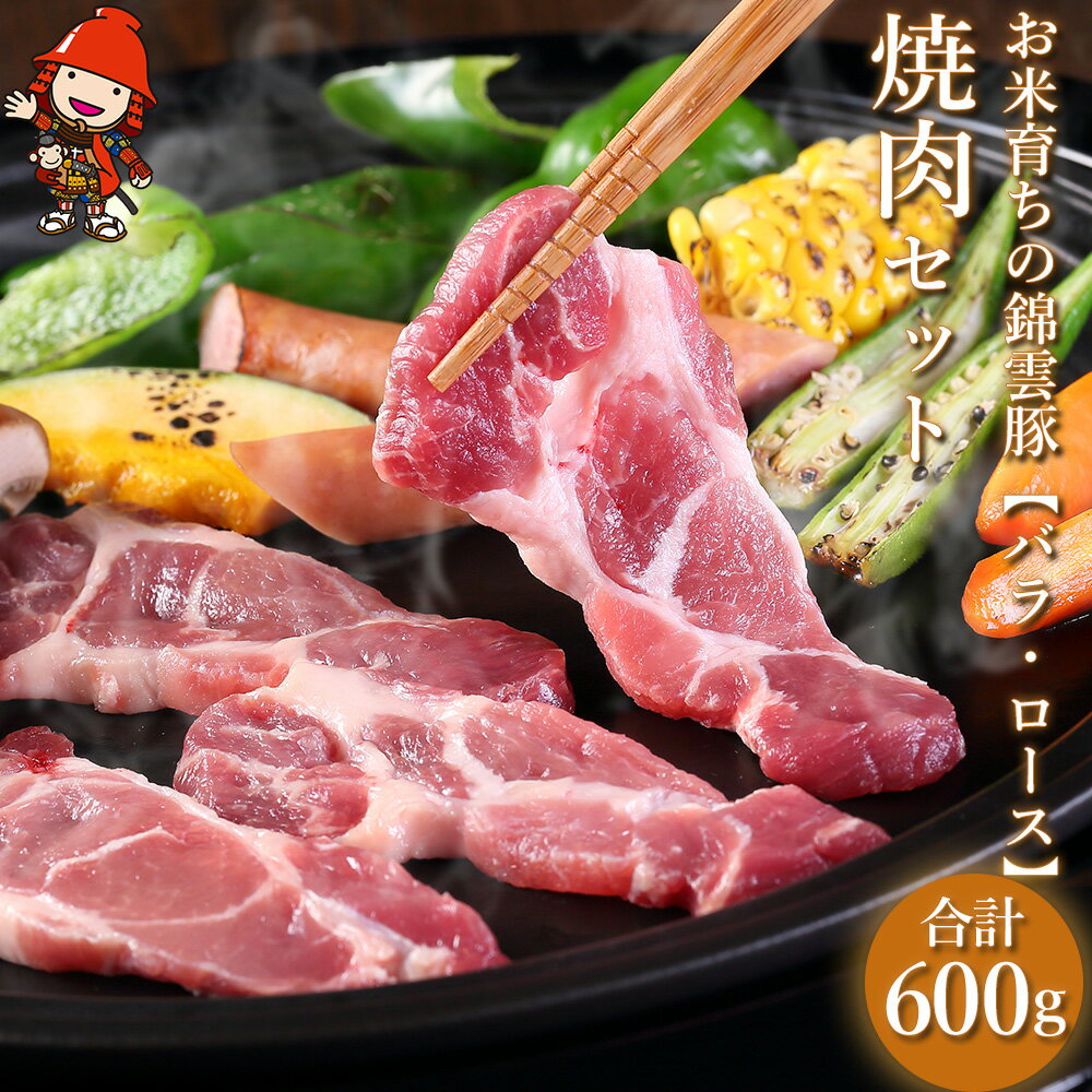 【ふるさと納税】お米育ちの錦雲豚 焼肉セット 合計600g（ロース300g・バラ300g） | ブランド豚 九州産 大分県産 国産 冷凍 送料無料