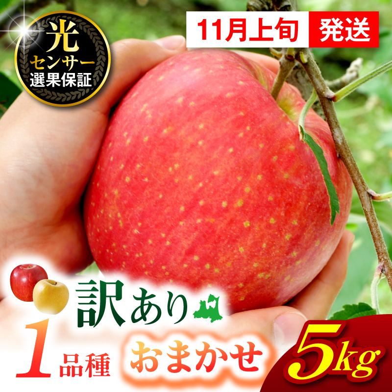 【2025年11月上旬発送】 【訳あり】 旬の美味しい りんご 約5kg 青森 産 【おまかせ1品種】