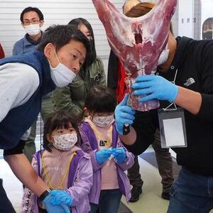 【ジビエ】大槌産 鹿肉 (スジ肉 400g)｜肉 大槌ジビエ 岩手県 大槌町 いわて iwate 三陸 MOMIJI