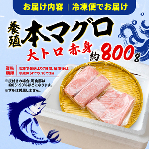 訳あり 本まぐろ 大とろ 赤身 セット 約 800g 【まぐろ】