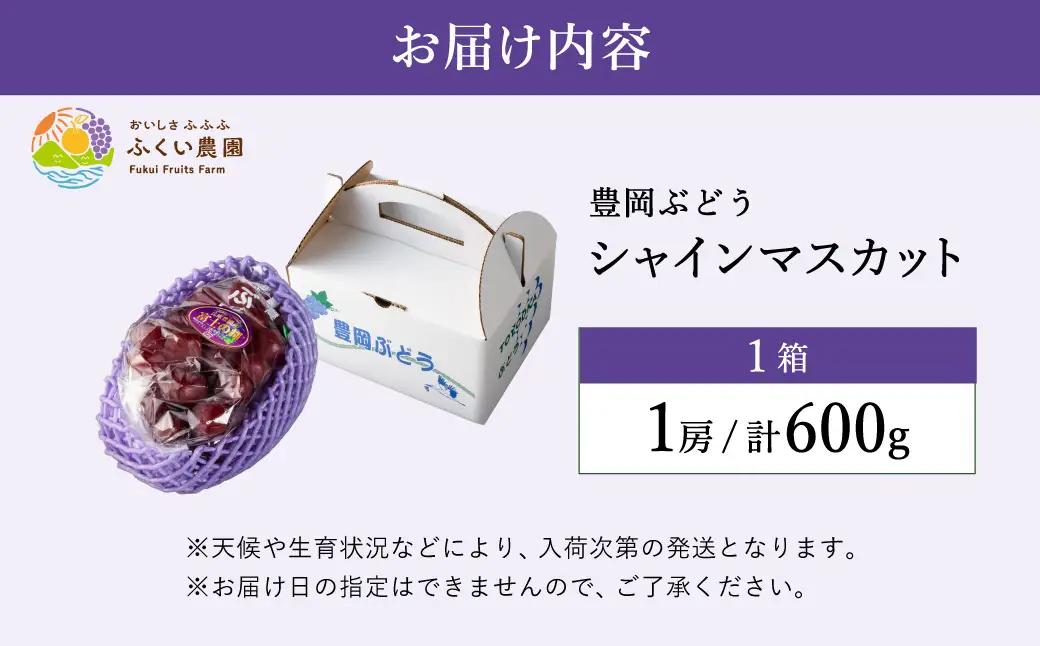 富士の輝き 豊岡ぶどう 600g【2026年先行予約】