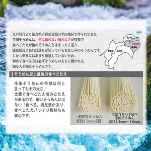 そうめん 手延べそうめん 半田そうめん 80g×21束 そうめん そうめん そうめん 