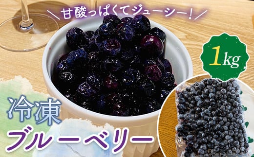 
山田農園 冷凍ブルーベリー 1kg 国産 無農薬 有機栽培 果物 フルーツ 冷凍フルーツ 千葉県 睦沢町 F22G-213
