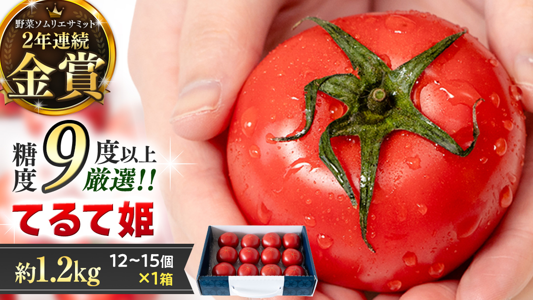 《 2027年 収穫分 》4～5月配送 スーパーフルーツトマト てるて姫 中箱 約1.2kg × 1箱 【12〜15玉/1箱】 糖度9度以上 定期便 先行予約 フルーツトマト ブランドトマト 野菜 ギ