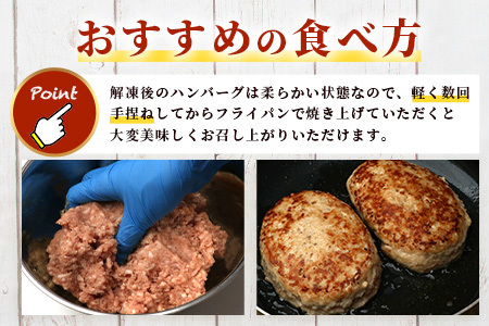 お肉屋さんが作った 国産 生ハンバーグ 2.4kg (120g×20個) 芳寿豚 ハンバーグ B-783