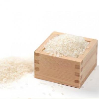 ふるさと納税 七尾市 【令和7年産】能登産にじのきらめき　能登夢米10kg(精米5kg×2袋) |  | 03