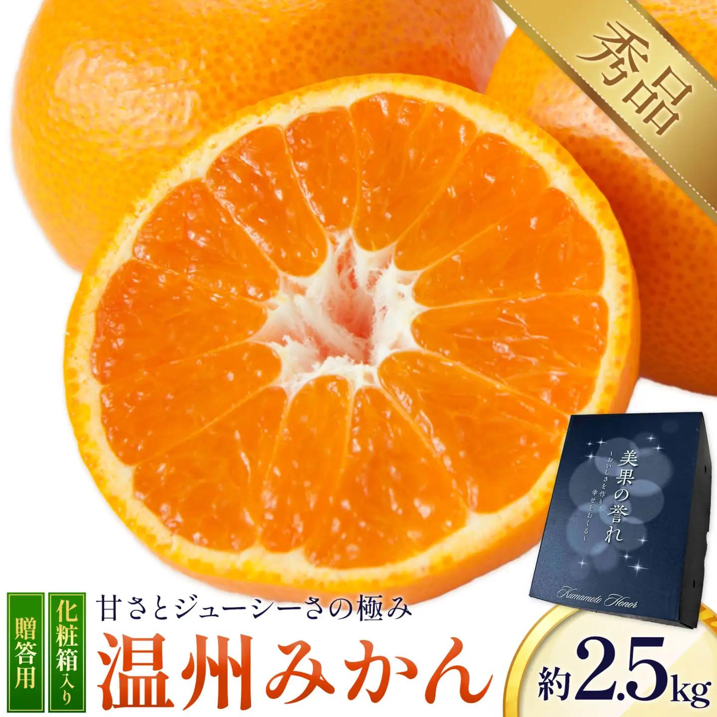 温州みかん 2.5㎏ 日本フルーツ株式会社 ミカン