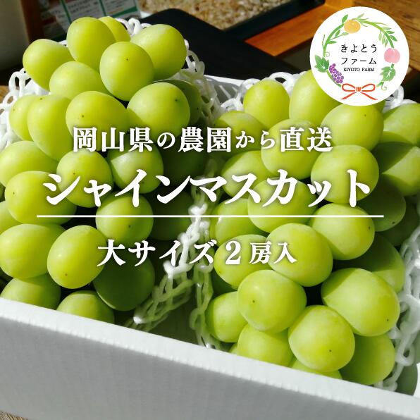 【ふるさと納税】 ＼2026年の先行受付／ 【きよとうファーム】シャインマスカット 特大2房入/計1.3kg〜(岡山県産)【2026年9月以降順次発送予定】【配送不可地域：離島】ぶどう ブドウ 葡萄 岡山 シャインマスカット 先行予約 フルーツ 果物 真庭市