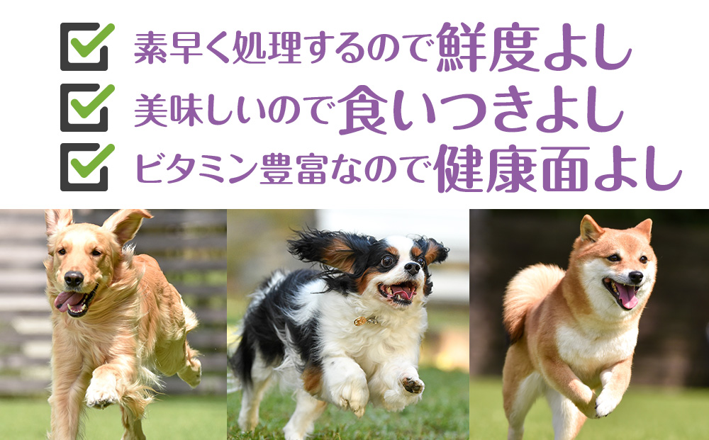 犬 おやつ 無添加 国産 骨 エゾ鹿 肉付き アバラ骨 (150g) 歯磨き 歯石 ガム 犬用 トリーツ ペットフード ドッグフード 干肉 エゾシカ