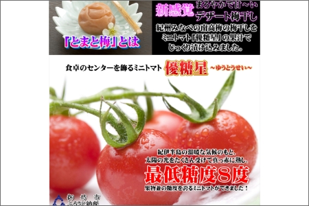 【0921-3】とまと梅　100ｇ×5個