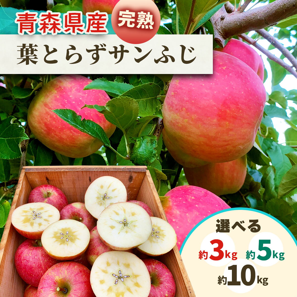 【ふるさと納税】完熟！葉とらずサンふじ｜【★高評価 レビュー】 青森県産 青森産 つがる 青森りんご りんご リンゴ 林檎 果物 フルーツ サンふじ さんふじ サンフジ 葉取らず サン ふじ 完熟 産直 令和8年 2026年 青森県産 青森県 つがる市産 ふるさと納税 [1085-1088]