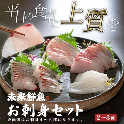 ふるさと納税 大月町 旬のお刺身用 柵セット 2〜3種 高知 海鮮 盛り合わせ 食べ比べ 鮮度抜群 刺し身 グルメ 酒の肴