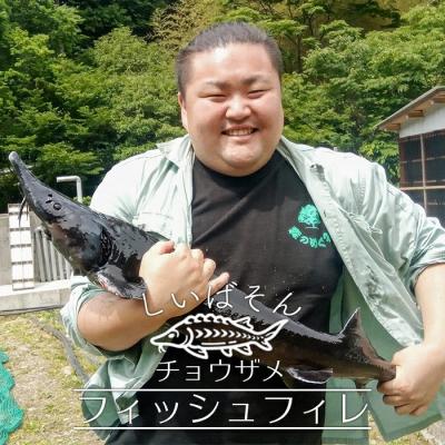 ふるさと納税 椎葉村 【宮崎県 椎葉産】キャビアフィッシュフィレ 1尾【800g〜1.2Kg】 チョウザメ フィレ肉