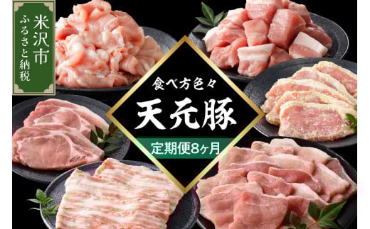 【定期便】 8ヶ月定期便 天元豚 セット 全8回 豚肉 ロース バラ 小間 モモ 挽き肉