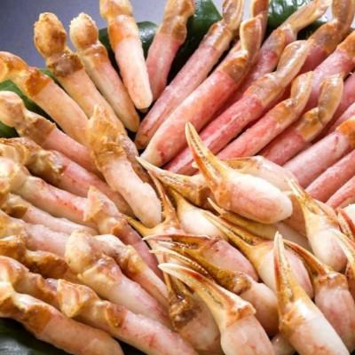 ふるさと納税 網走市 生冷本ずわい蟹　しゃぶしゃぶ鍋セット1.5kg |  | 01