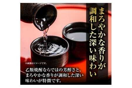 焼酎 純米焼酎 長期熟成 甕貯蔵 錐鑽 箱入り 720ml 酒のねごろっく 《90日以内に出荷予定(土日祝除く)》焼酎焼酎