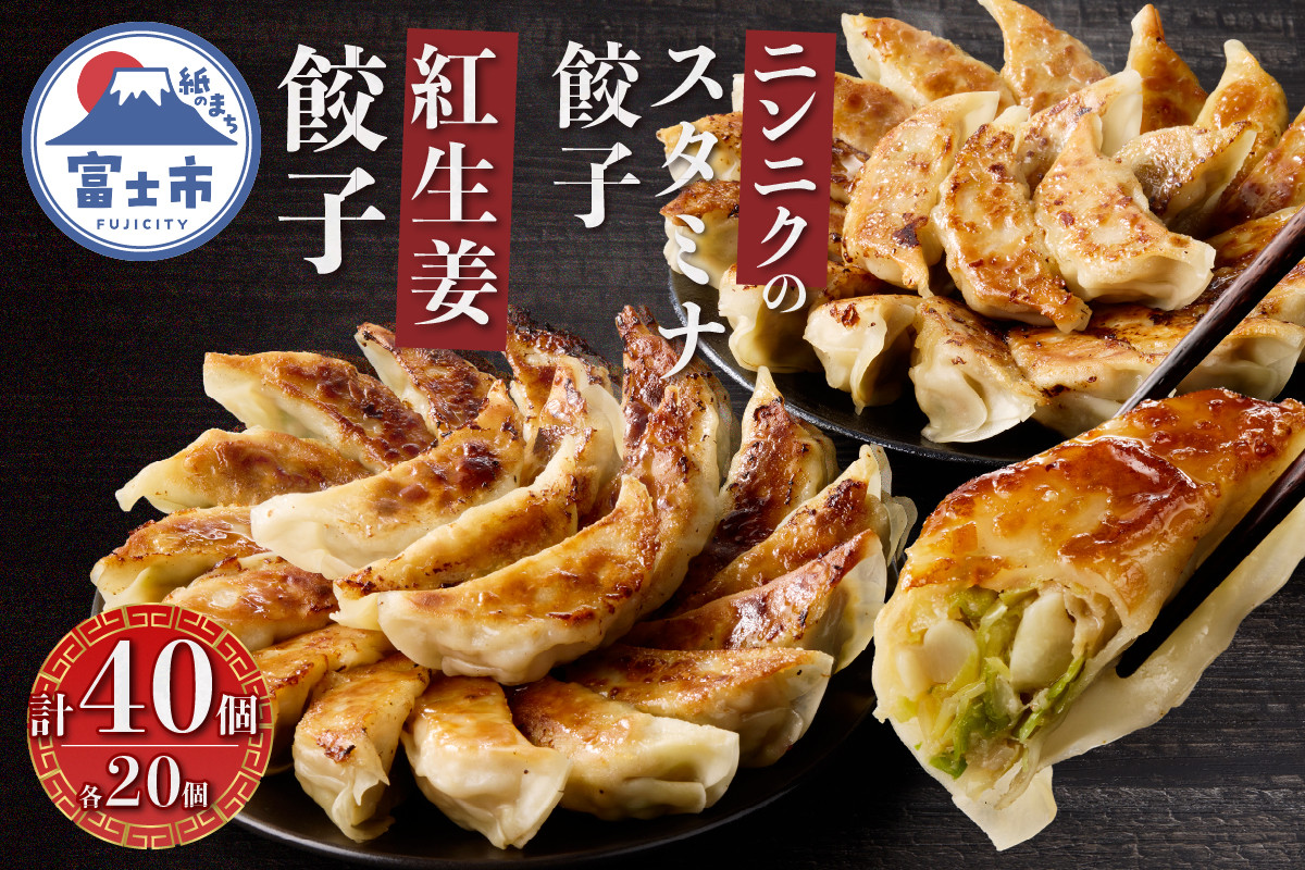 
            紅生姜餃子 スタミナ餃子 各20個(計40個) セット ギョーザ 創作餃子 野菜 ニンニク おかず おつまみ 食べ比べ 特製 中華 食品 冷凍発送 富士市 [sf001-221]
          