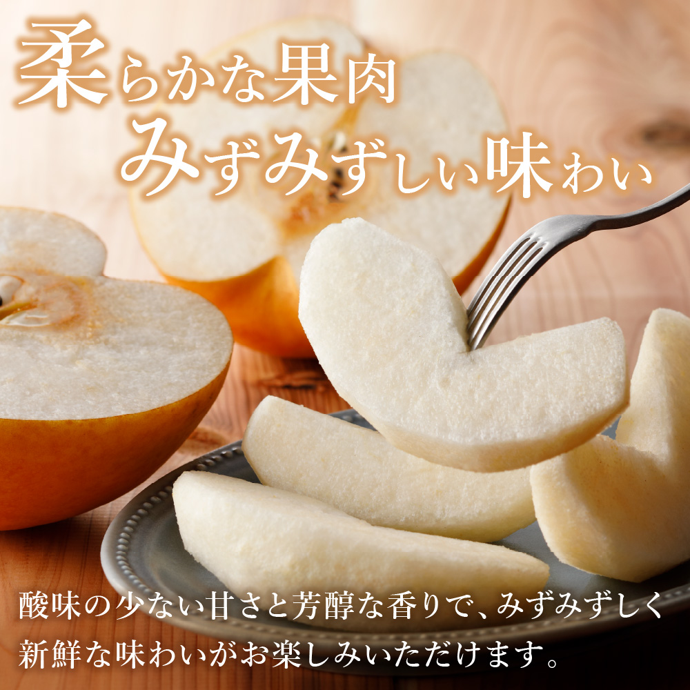 【2025年産先行予約】伊万里梨「新高」 5kg 大型種 B162